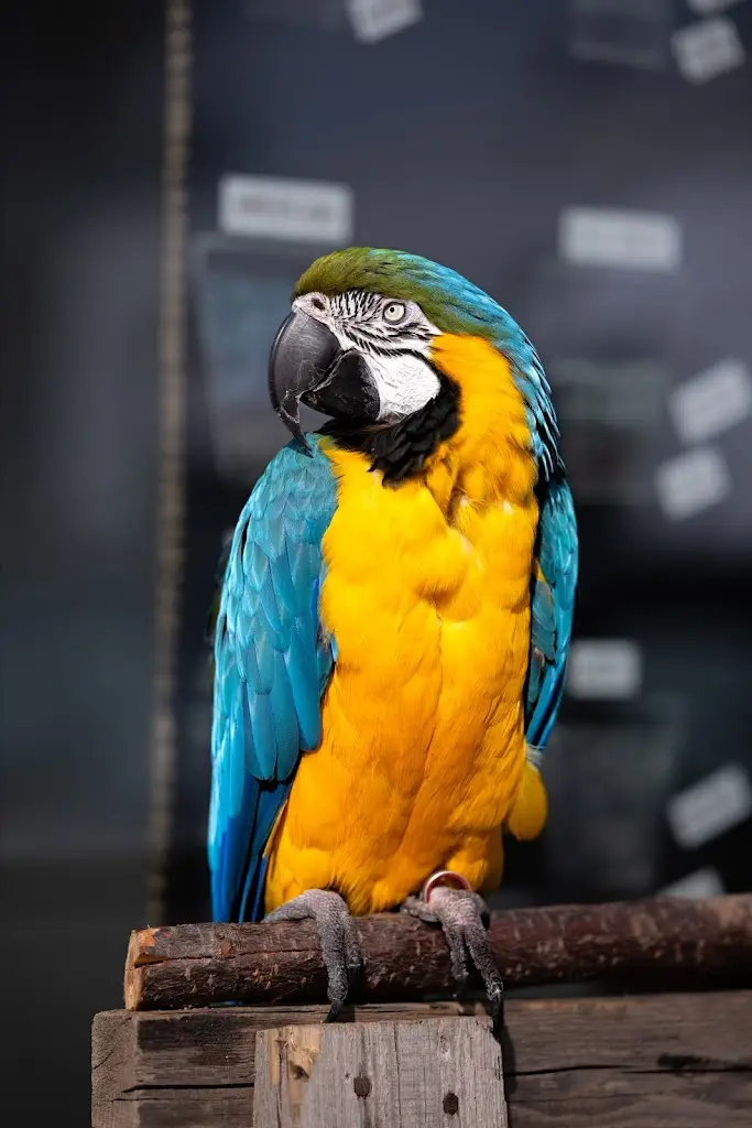 San Diego Café_Nová Paka_slider_image_2