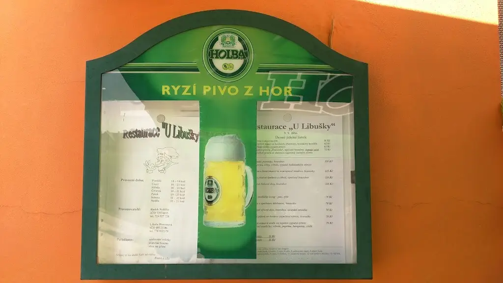 Jakub Němec_Restaurace U Libušky_Nová Paka_review