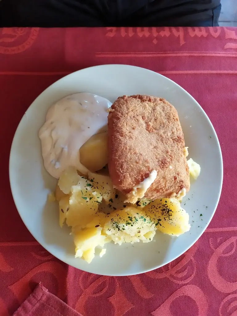 Chovatel Tom_Restaurace Praha Opočno_Opočno_review