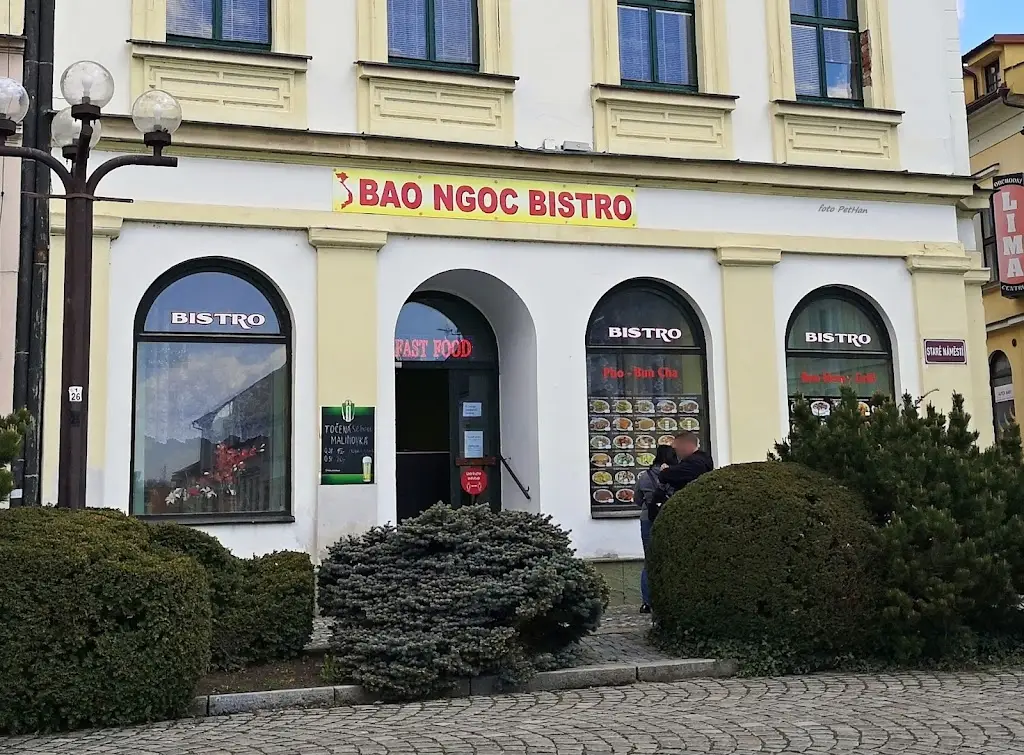 BAO NGOC Bistro restaurant in Okres Rychnov nad Kněžnou
