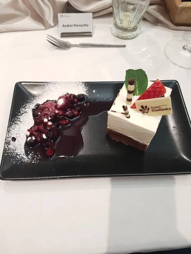 Andrei Paraschiv_Hotel Studánka_Okres Rychnov nad Kněžnou_review