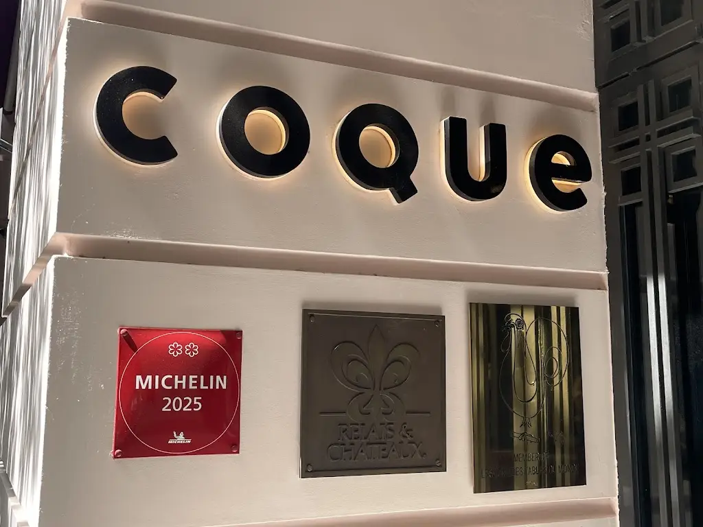 Michal Bartlomiejczyk_Coque_Pecka_review