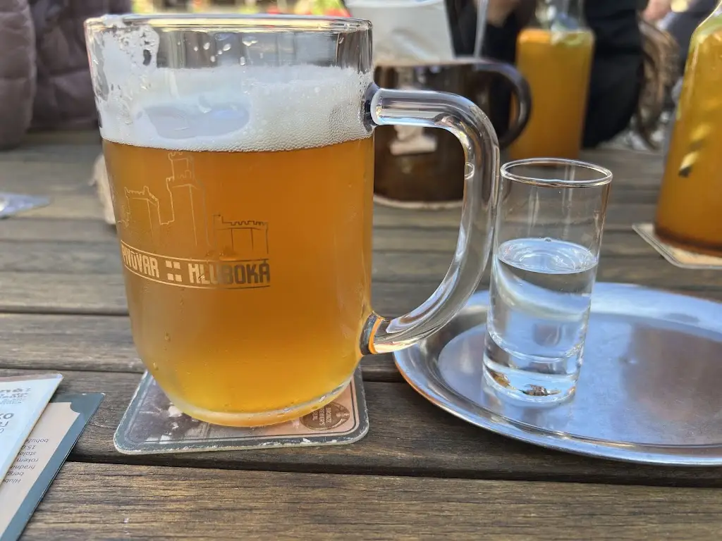 Aleks Dyskin_Solidní Šance_Hluboká nad Vltavou_review