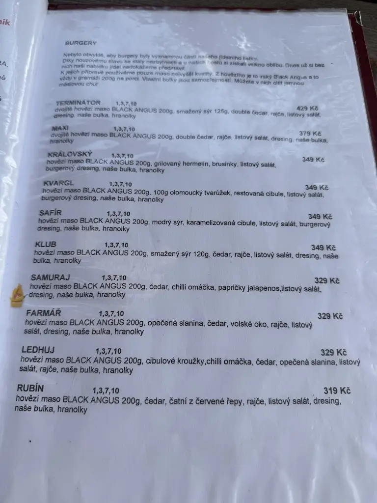 Menu_Restaurace DIVADELNÍ KLUB_Police nad Metují_image_4