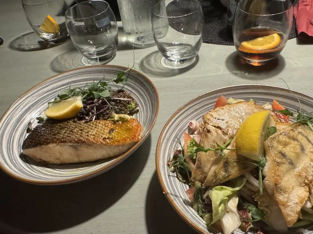 Šimon Tichý_Restaurace Eleonora_Hluboká nad Vltavou_review