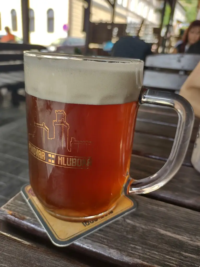 Menu_Restaurace u Hájků_Hluboká nad Vltavou_image_5