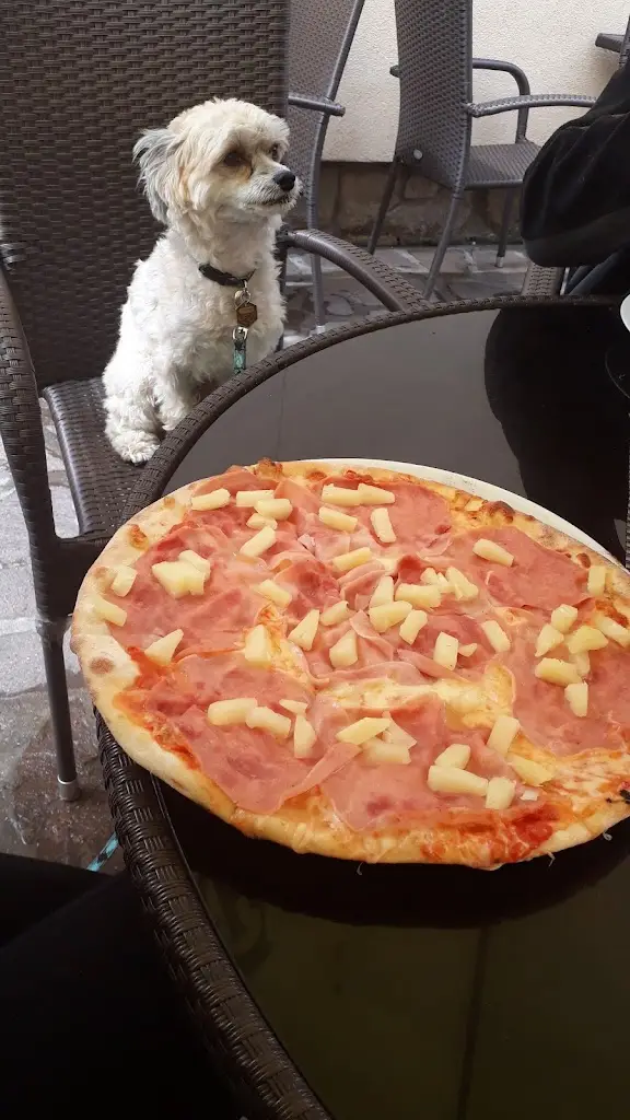 Menu_Pizzerie Maštal_Sobotka_image_3