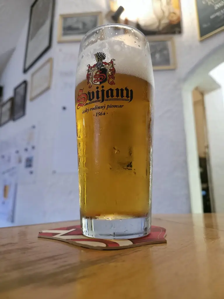 Pavel Příbrský_Bistro Radnice_Sobotka_review