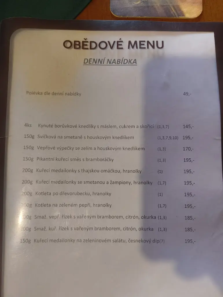 Menu_Hostinec U Skanzenu_Třebechovice pod Orebem_immagine_1