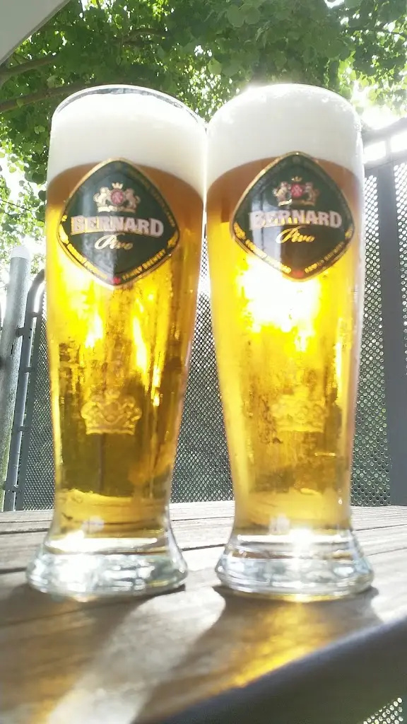 Menu_Hotel Bor_Třebechovice pod Orebem_image_2