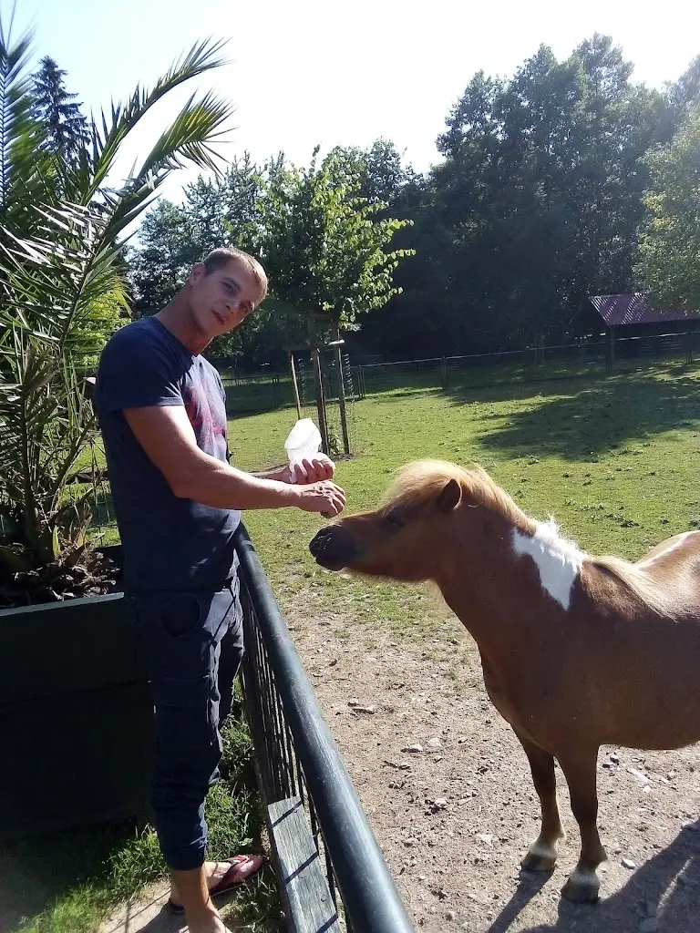 Hotel Bor_Třebechovice pod Orebem_slider_image_3