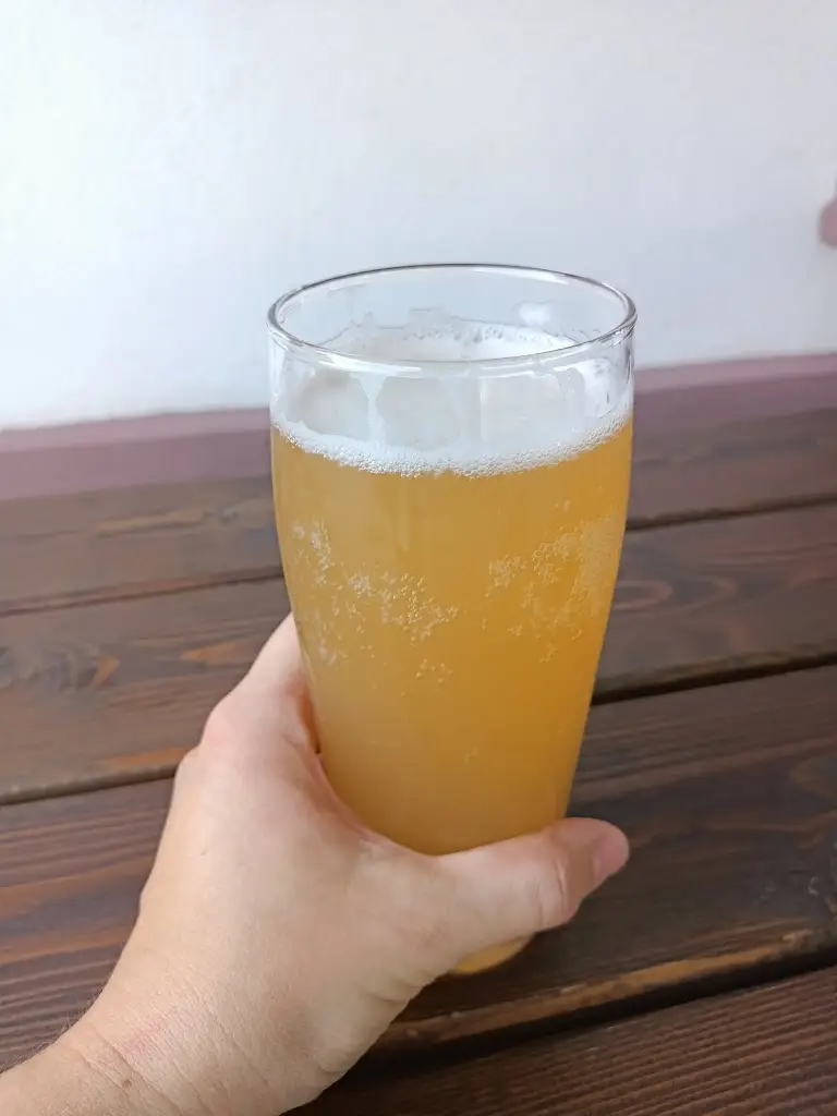 Menu_Hostinec Pod Zelenou Křivinou_Týniště nad Orlicí_image_4