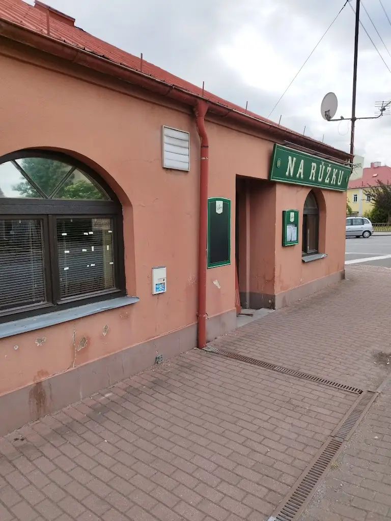 Otto Horný_Restaurace Na Růžku_Týniště nad Orlicí_review