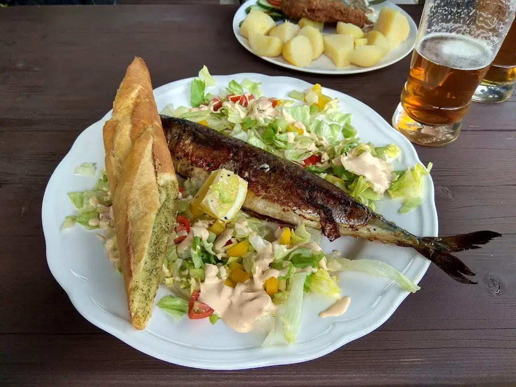 Jaroslav Hlávka_Jídelna a bistro VELKÉ POŘÍČÍ_Velké Poříčí_review