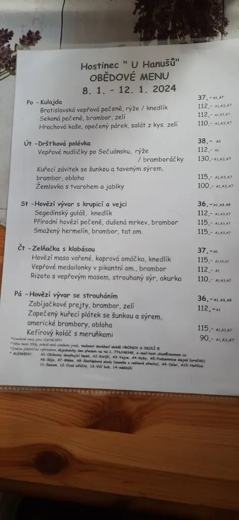 Menu_U Hanušů_Velké Poříčí_image_1