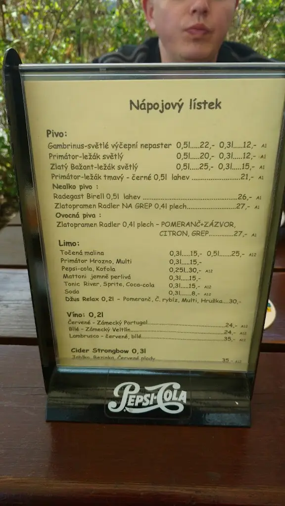 Menu_U Hanušů_Velké Poříčí_image_2