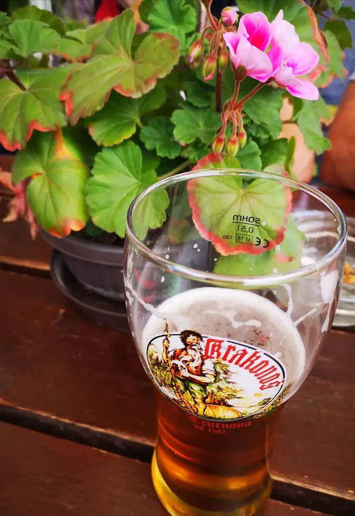 Menu_U Hanušů_Velké Poříčí_image_5