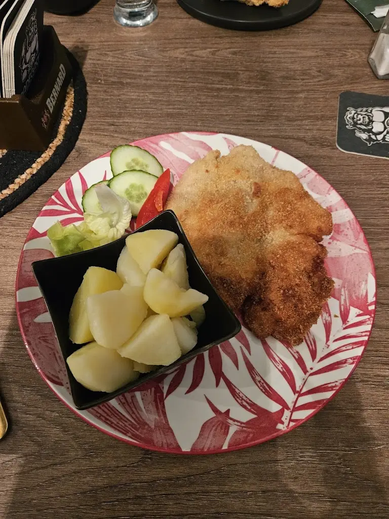 dziki waz_Restaurace Krkonošska Pohadka_Žacléř_review