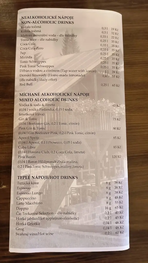 Menu_Restaurace U Medvěda_Špindlerův Mlýn_image_3