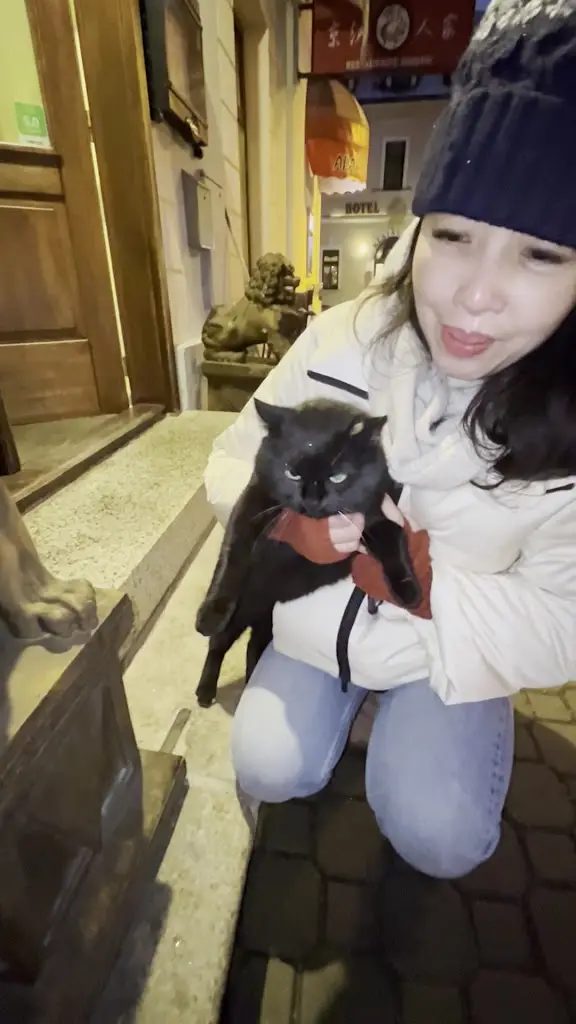 HAN-SHENG LEE_Beijing Shanghai Čínská restaurace京沪飯店_Hluboká nad Vltavou_review