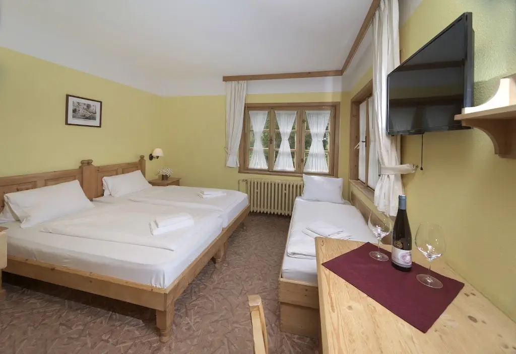 Alpský Hotel_Špindlerův Mlýn_slider_image_3
