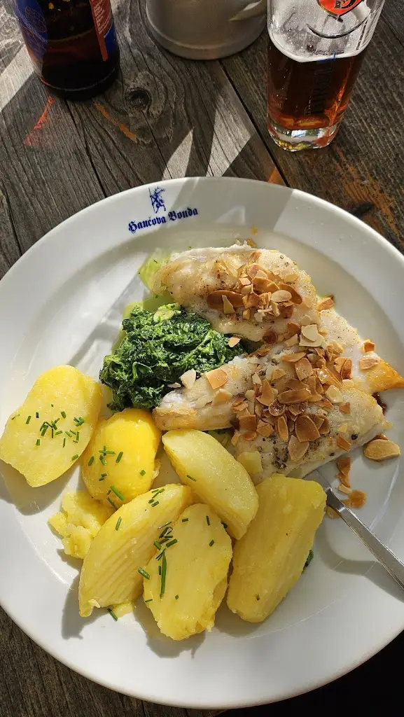 Zuzana De Haas_Restaurace Hančova Bouda_Benecko_review