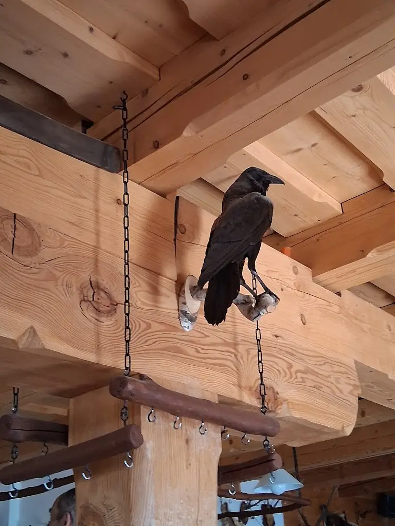 Jiří Kohout_Zaly Baude_Benecko_review