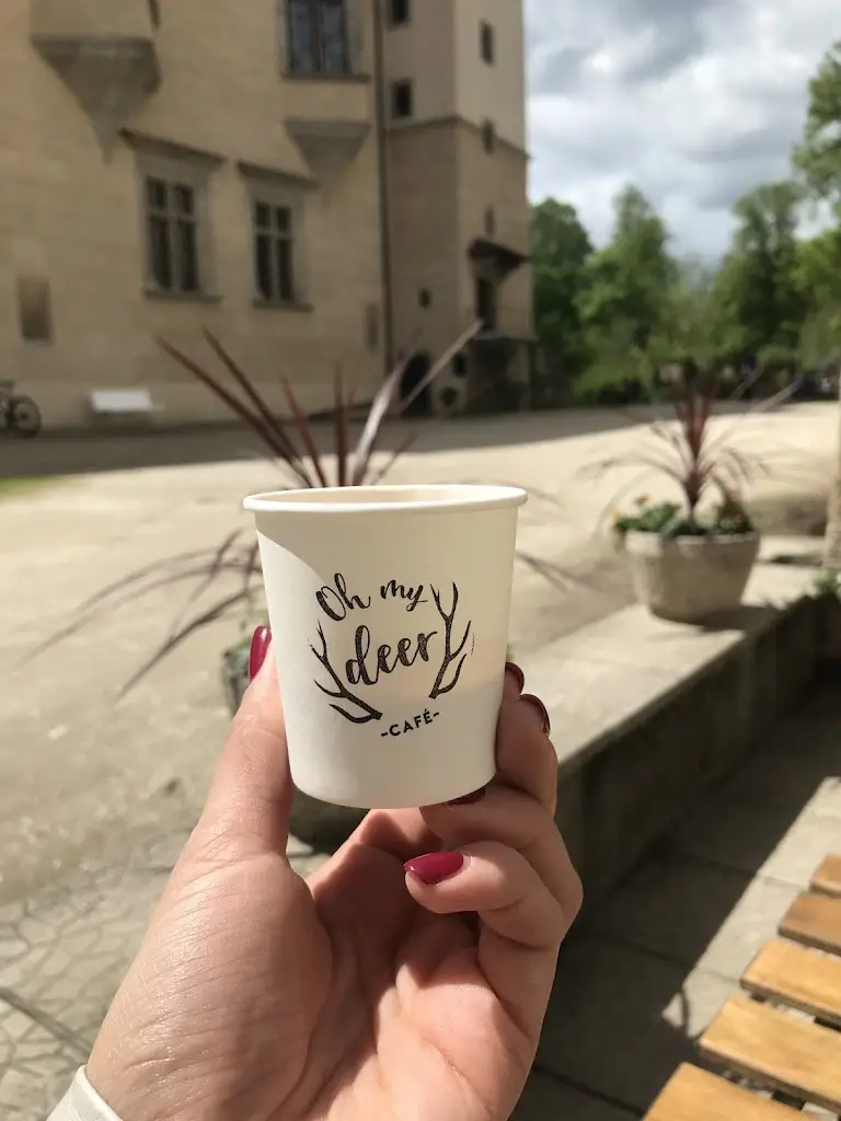 Janka Borončová_Oh My Deer Café_Blatná_review