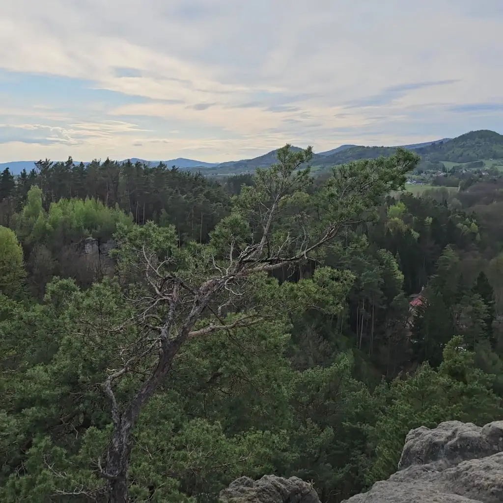Damian Cieslewicz_The Guard House & Observation Tower_Cvikov_review