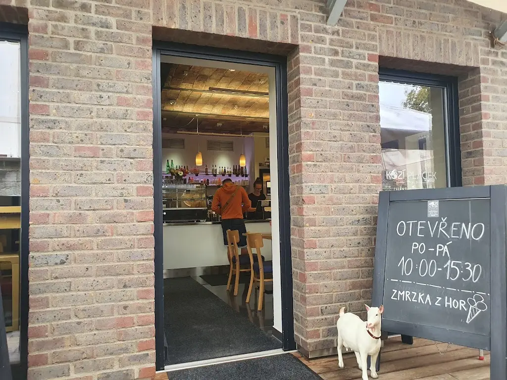 Pavlína Šimáčková_Kozí Plácek 127_Vrchlabí_review