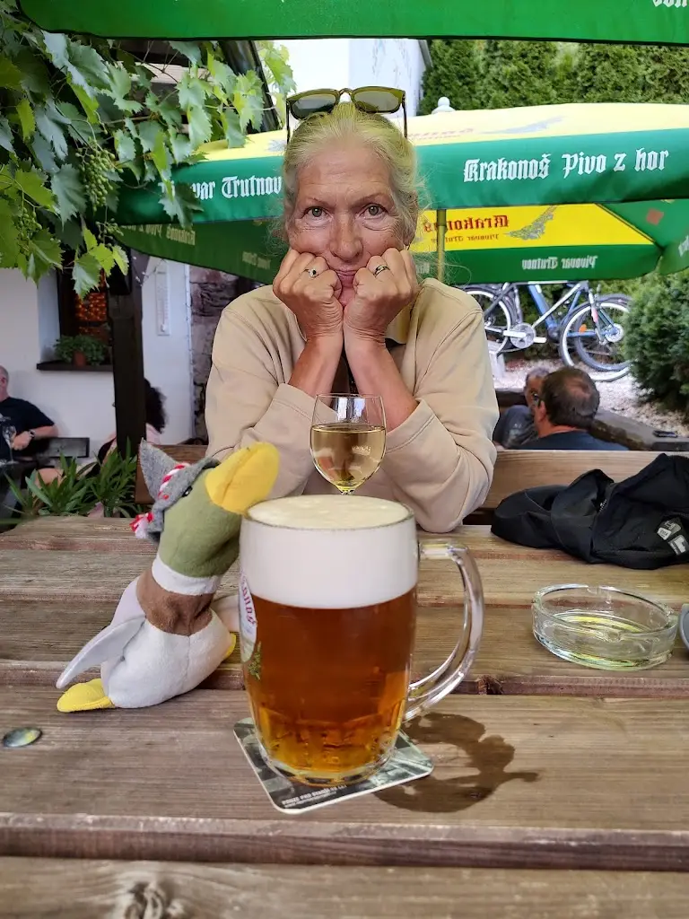 Vinárna Vineta_Vrchlabí_slider_image_2