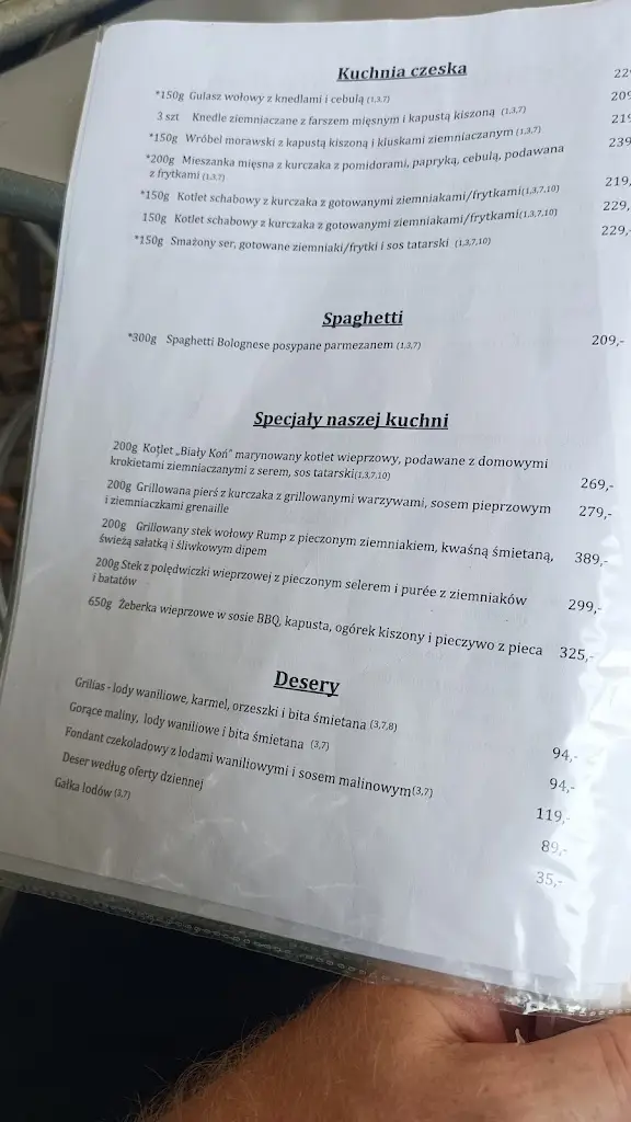 Menu_Restaurace Bílý Kůň_Frýdlant_image_1