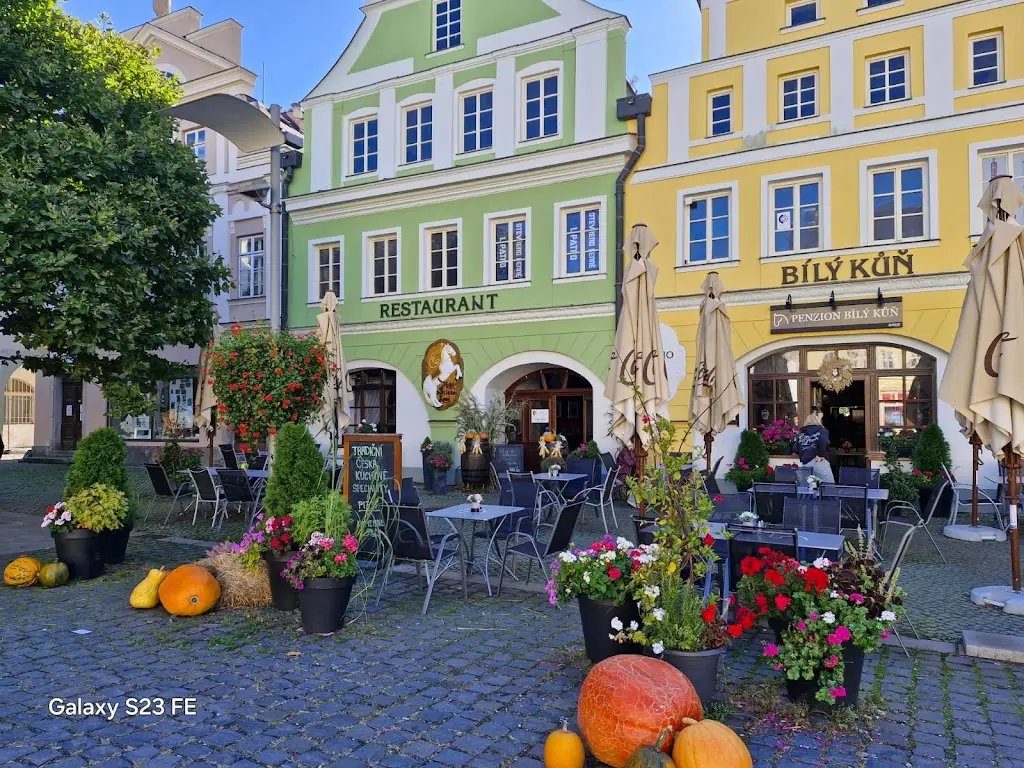 Romuald Kulesz_Restaurace Bílý Kůň_Frýdlant_review