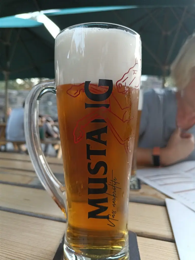 Menu_Almi penzion pizzerie_Doksy_image_1