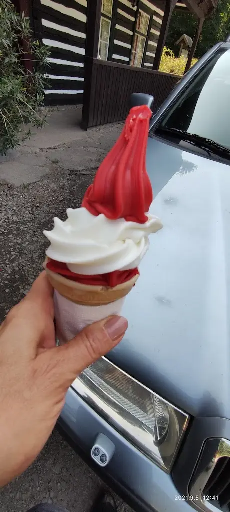 Jana H_Zmrzlina U Leknínu_Doksy_review