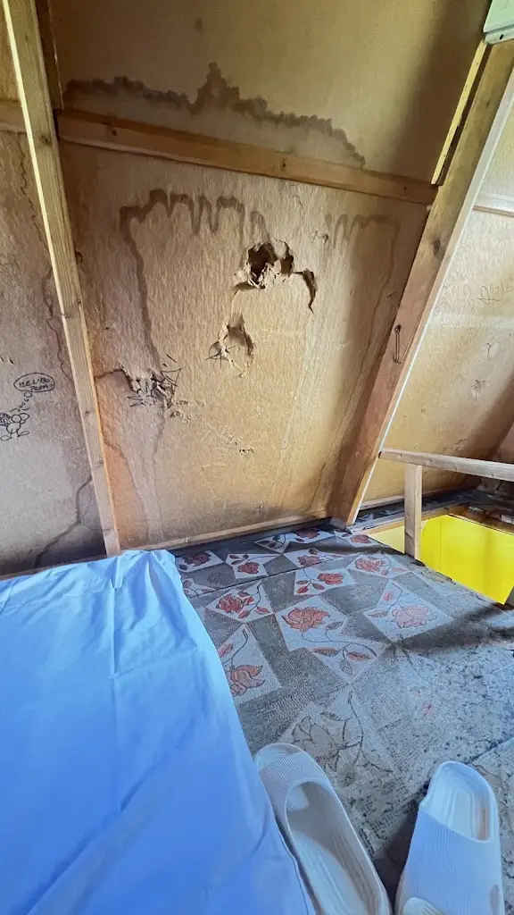 Яна Рішко_Restaurace Sluníčko, Staré splavy_Doksy_review