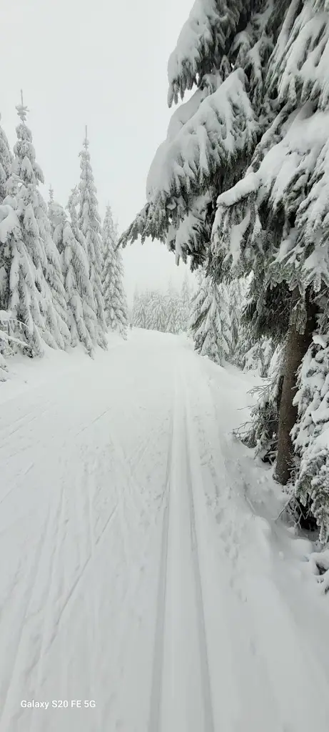 Kalanit rat_Horská stanice Na Knejpě_Hejnice_review