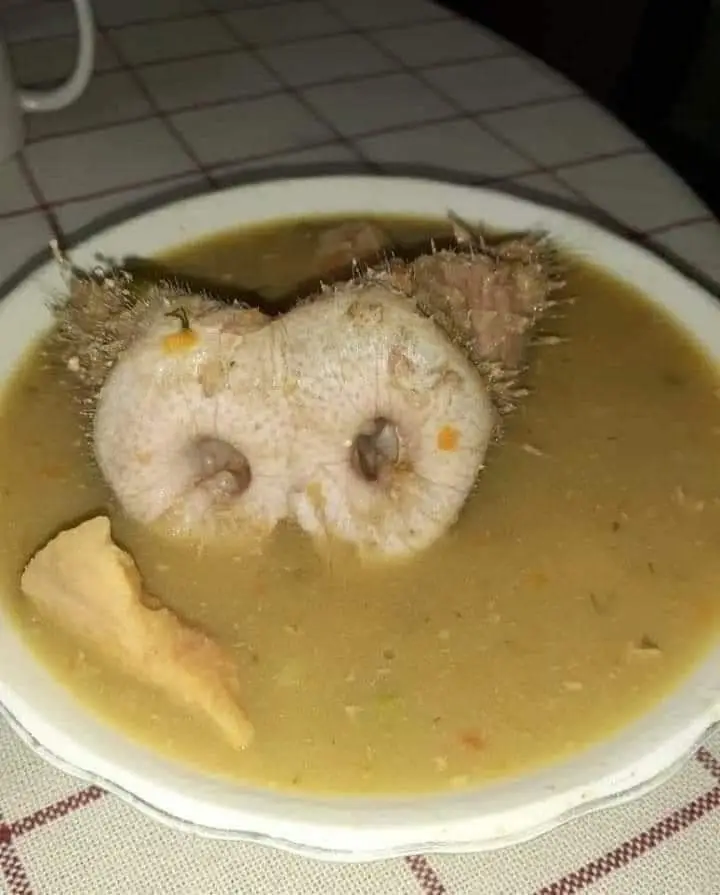 Klown._Restaurace u Doubravy_Hodkovice nad Mohelkou_review