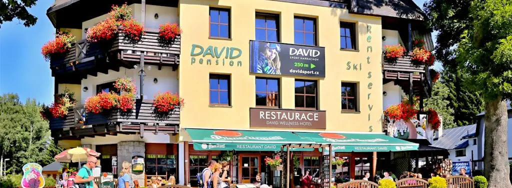 Restaurace David restaurant in Harrachov