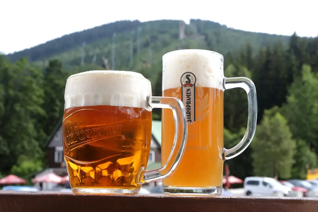 Restaurant Stone_Harrachov_slider_image_3