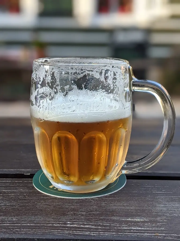 Tiki Fhe_Penzion - restaurant U PASEKŮ_Harrachov_review