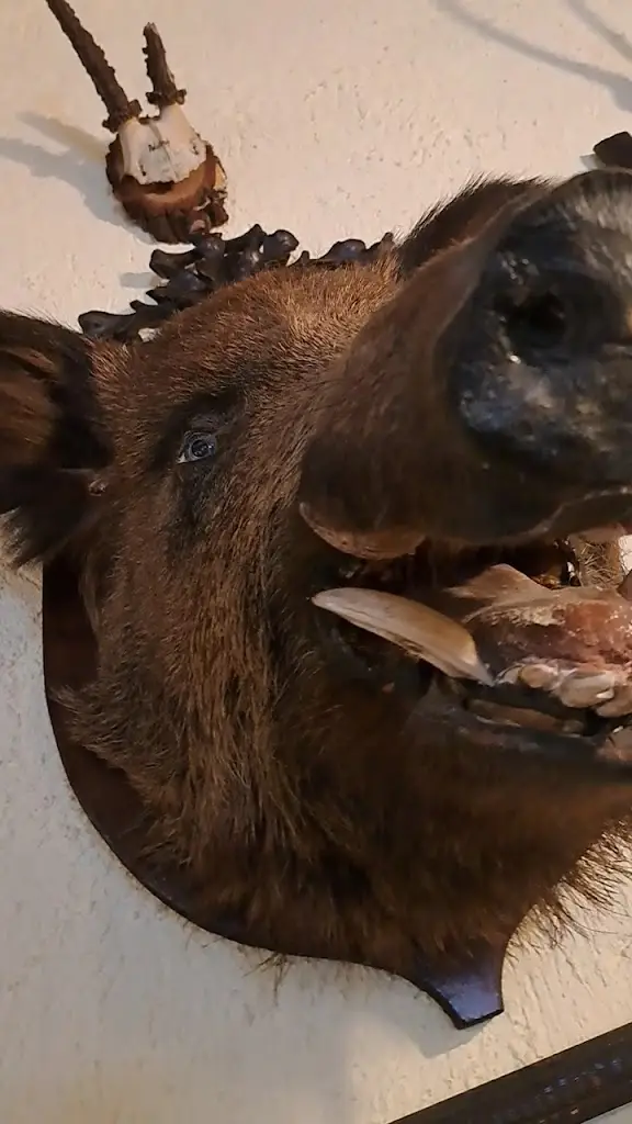 Penzion u Hajneho Bedricha_Harrachov_slider_image_2