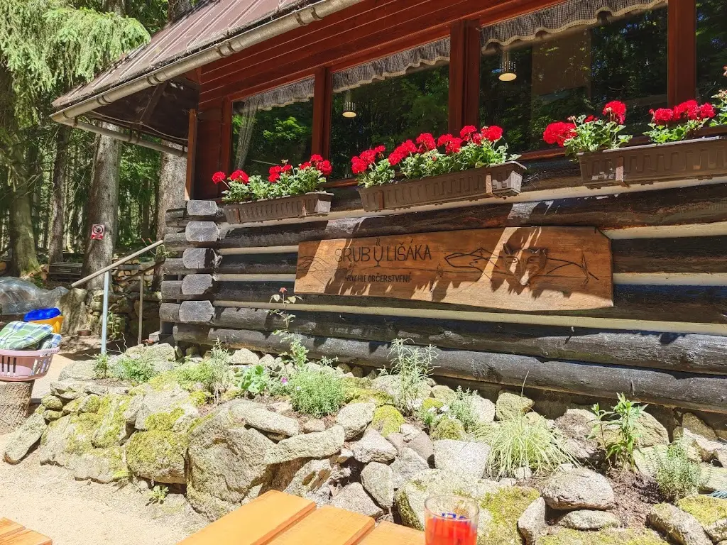 Miroslav Königsmark_Lišák_Harrachov_review