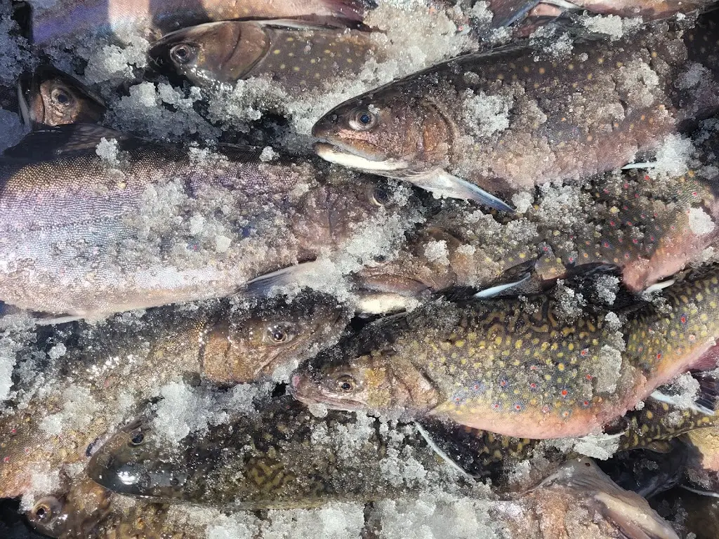 Rybí restaurace a apartmány Hůrka_Horní Planá_slider_image_3