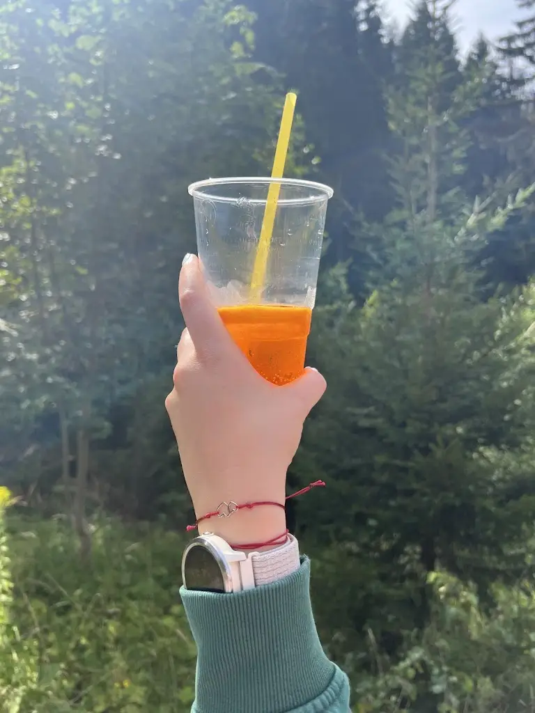 Zbyněk Holub_Bistro pod Mumlavou_Harrachov_review