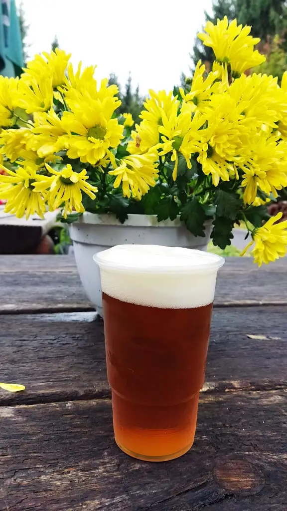 Občerstvení, INFOCENTRUM , Ručičky kiosek_Harrachov_slider_image_2