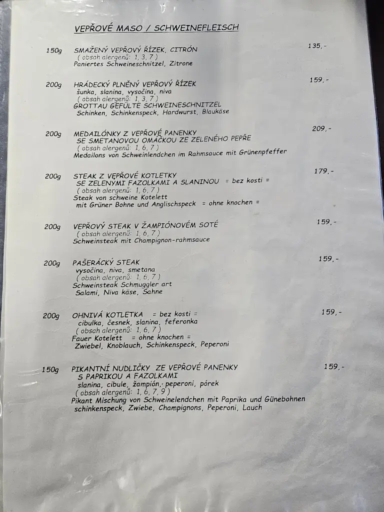 Menu_Street Corner Restaurant_Hrádek nad Nisou_immagine_3