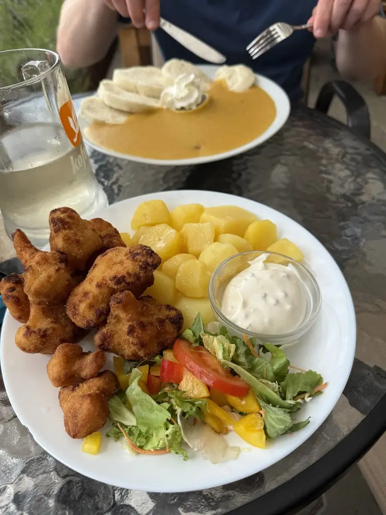 Penzion na navsi restaurant in Horní Planá