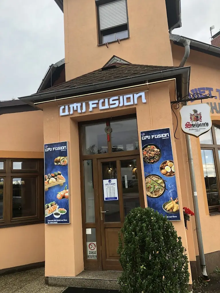 Alexandr Pimachin_UMI Fusion_Hrádek nad Nisou_review