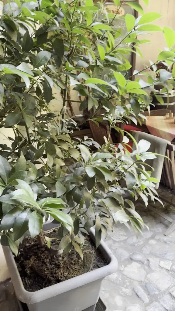 Dornspach House - Historic Tavern_Hrádek nad Nisou_slider_image_2